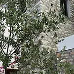 Elia Luxury Penzion