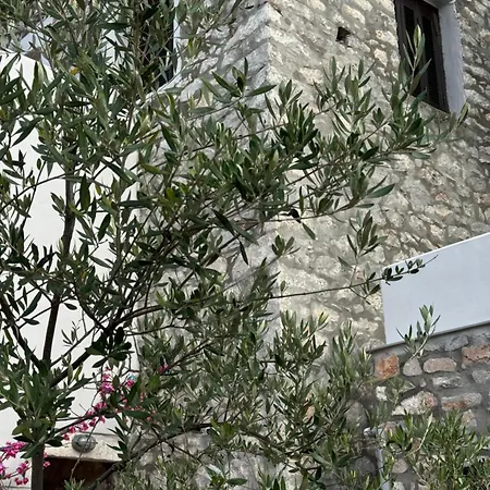 Elia Luxury Pensión