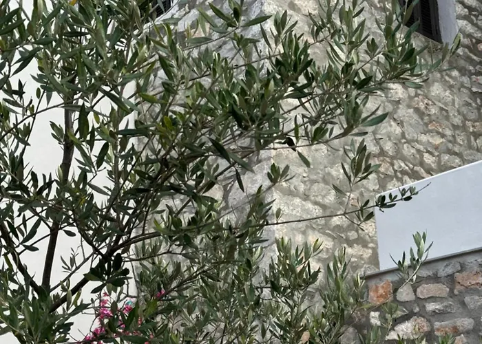 Elia Luxury Πανσιόν